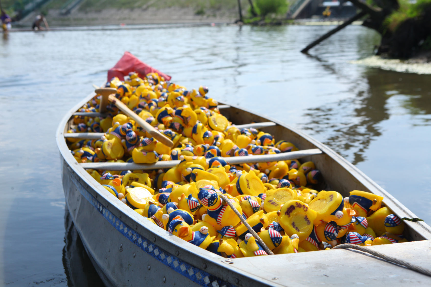 Dam Duck Race
